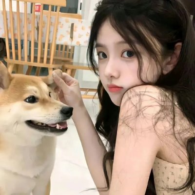 万紫千红花弄蝶